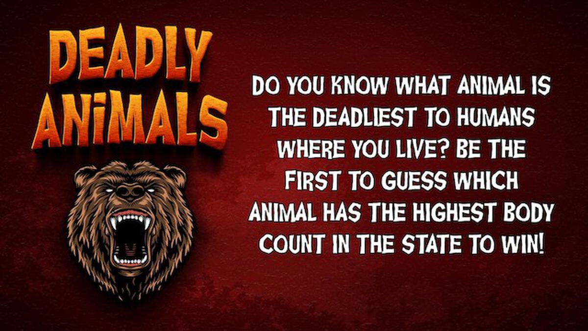 Deadly Animals image number null